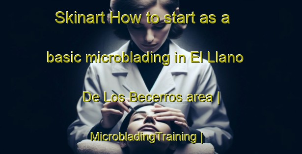 Skinart How to start as a basic microblading in El Llano De Los Becerros area | MicrobladingTraining | MicrobladingClasses | SkinartTraining-Mexico